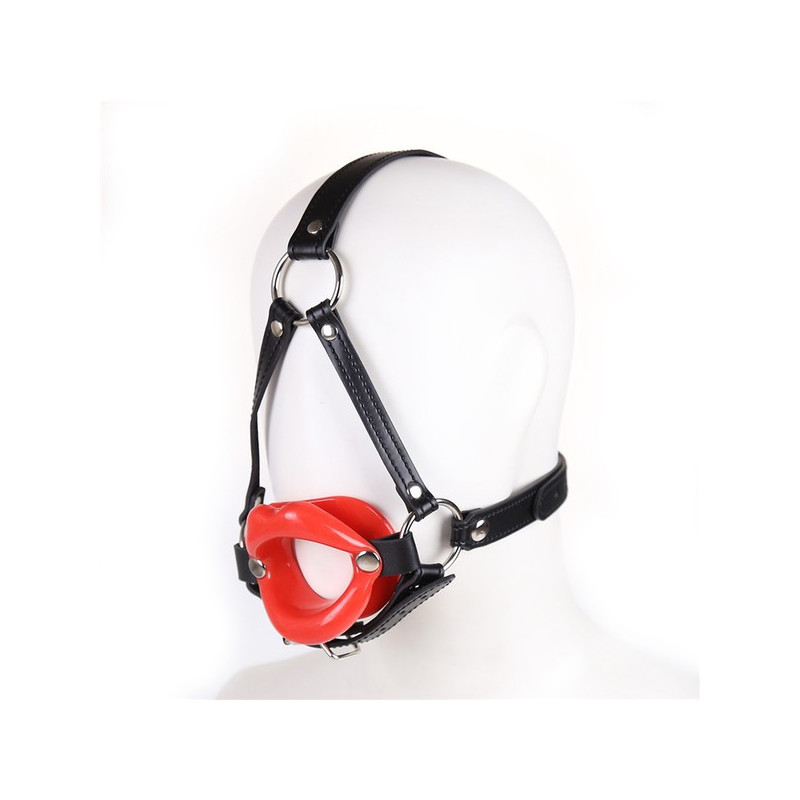 Generique Baillon SM Lips et Harnais